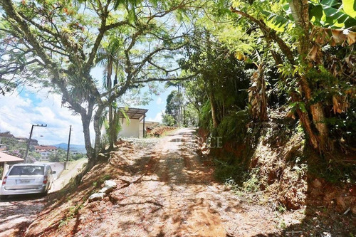 Imagem 6 de 8 de Casa Residencial À Venda, Garcia, Blumenau - . - Ca0288