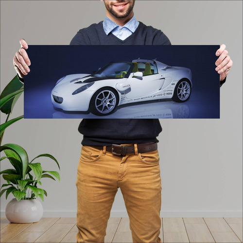 Cuadro 30x80cm Auto 2008 Rinspeed Squba Auto 81