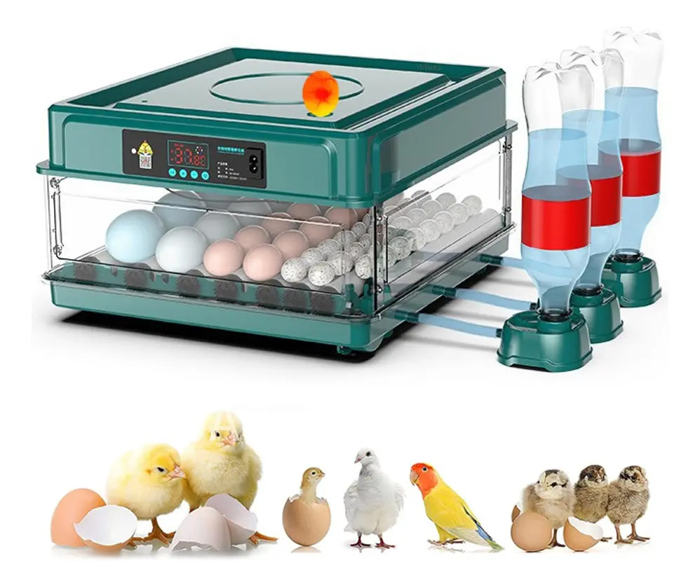 38p Incubadora Automática De Aves Yunjas De Corral Nacedora