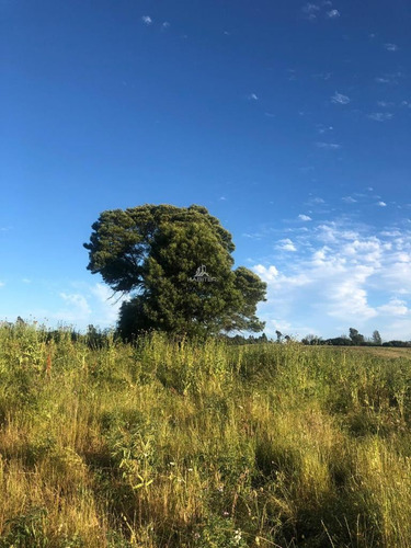 Vende Parcela En Nueva Imperial