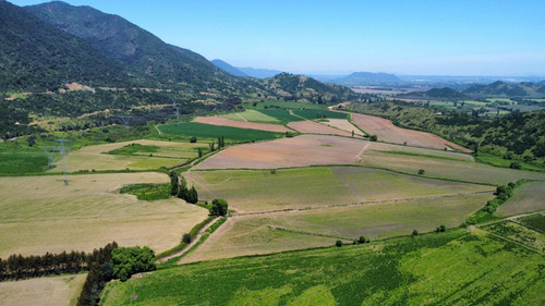 Codegua, Chimbarongo, Predio De 54,49 Has Ideal Par Cerezas