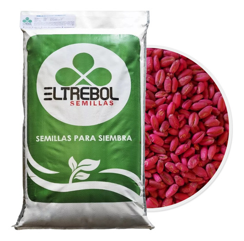 Semilla De Trigo Var. Valles (20 Kg)