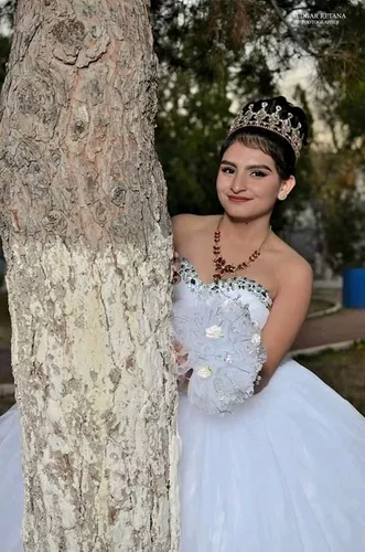 Vestido De Xv Años En Buen Estado Con Crinolina Flexible en venta en Juárez  Chihuahua por sólo $ 4,  Mexico