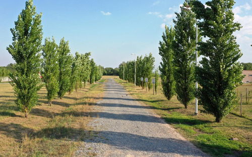 Terreno En Torres - Lado Bueno