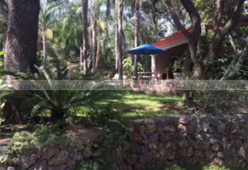 La Vid Cieneguilla