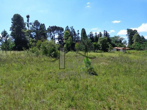 Imagem 7 de 7 de Cód 1870 - Belíssimo Terreno Com Área De 4.321 M². - 1870