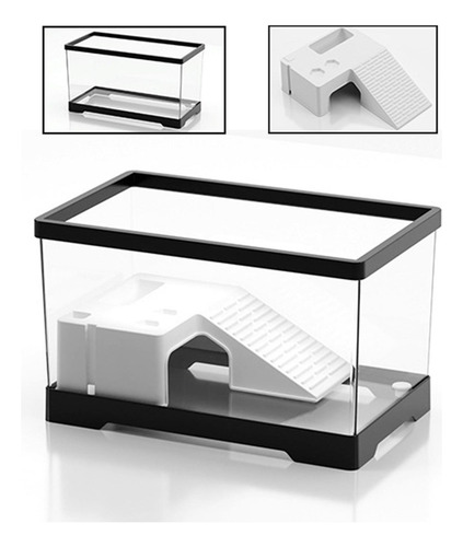 Tanque Para Tortugas De Agua Con Área De Negro Medio