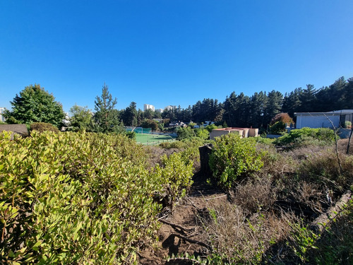 Excelente Terreno En Los Pinos
