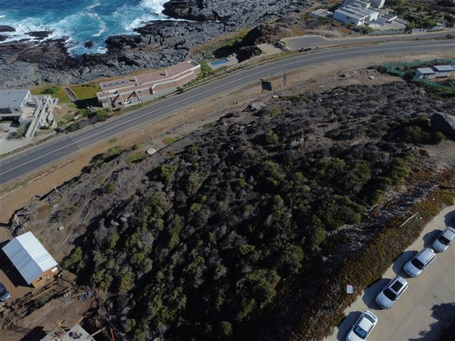Imagen 5 de 8 de Sitio En Venta En Zapallar Norte