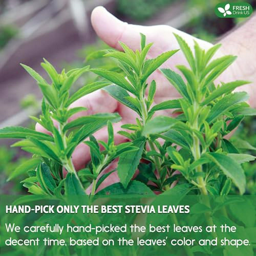 Té De Stevia Premium, 40 Bolsitas, 100% Natural, Sin Caloría
