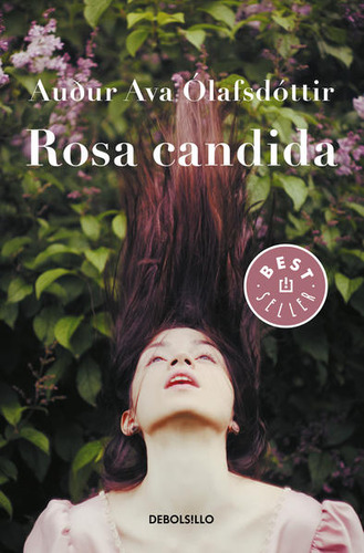 Libro: Rosa Candida