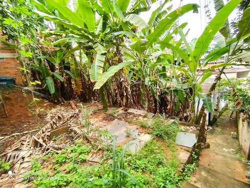 Imagem 5 de 5 de Terreno Em Bethânia - Ipatinga - 1339
