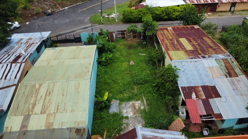 Imagen 3 de 4 de Vendo Terreno Plano, Frente A Calle Publica Con Disponibilidad De Servicios Y Uso De Suelo Residencial Ubicado En Orotina Centro