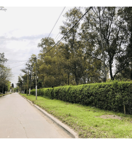Imagen 12 de 13 de Lote/terreno De 12×31 Financia