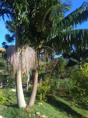 Imagem 17 de 25 de Ótimo Sítio No Pedra Branca Em Monteiro Lobato/sp - 4608