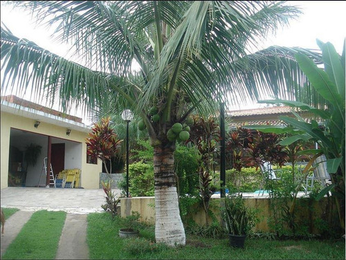 Chácara À Venda, 2000 M² Por R$ 600.000,00 - Bela Vista - Elias Fausto/sp - Ch0027