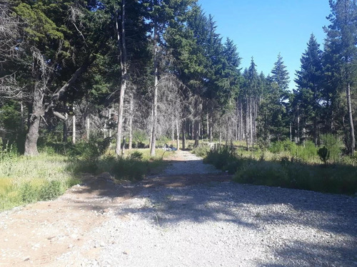 Terreno Lote  En Venta Ubicado En Centro De Bariloche, Bariloche, Patagonia