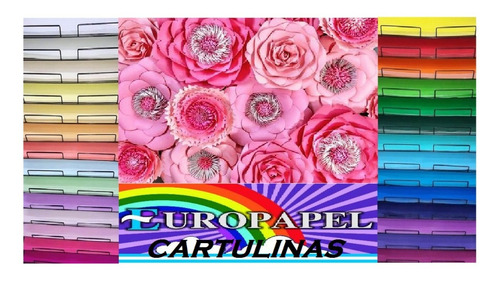 Cartulina Color Med.45 X 63 Cm. Paq. X 50 U. Armá Tu Surtido