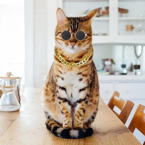 Gafas De Sol Retro Para Gatos Y Perros Con Cadena Dorada