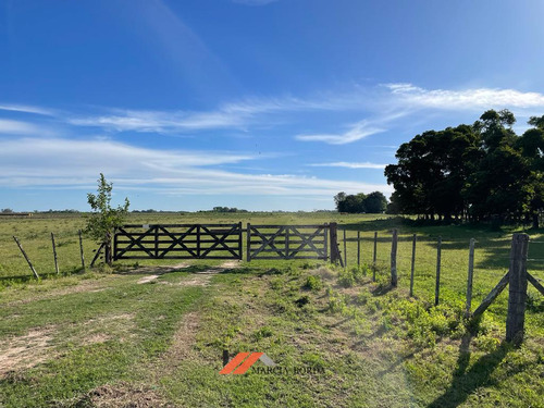 Campo En Venta, Ranchos