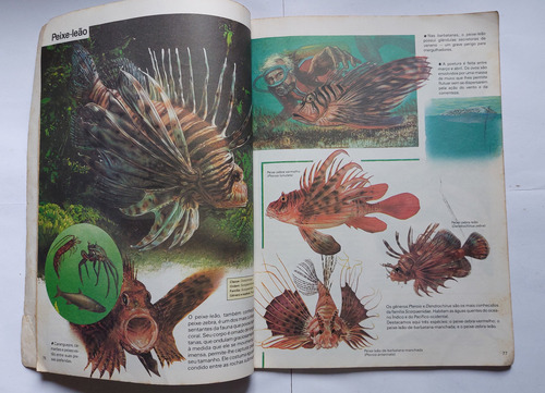 Guia Ilustrado O Mundo Dos Animais Peixes Il (Usado)