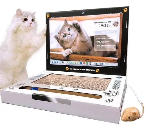 Rascador De Cartón 3 En 1 Para Gatos: Diviértete Con Tu Mini