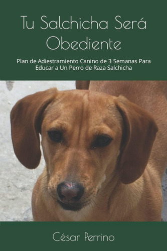 Libro: Tu Salchicha Será Obediente: Plan De Adiestramiento C