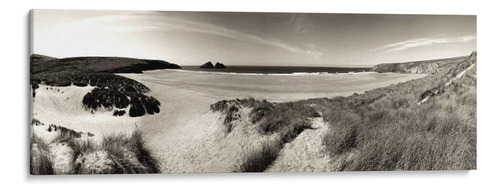 Canvas Lab Cuadro El Viento En Las Dunas Ii. 330x110