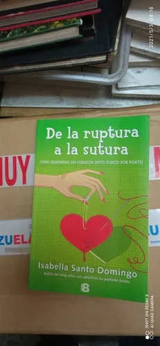comprar  Libro De La Ruptura A La Sutura. Isabella Santo Domingo