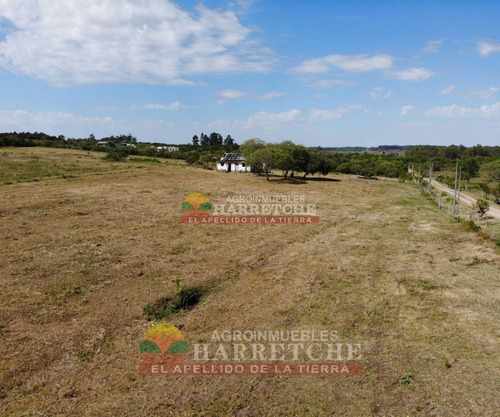 Imagen 14 de 17 de Venta De Chacra Melilla 3 Has Hermoso Paisaje.financia Propietario