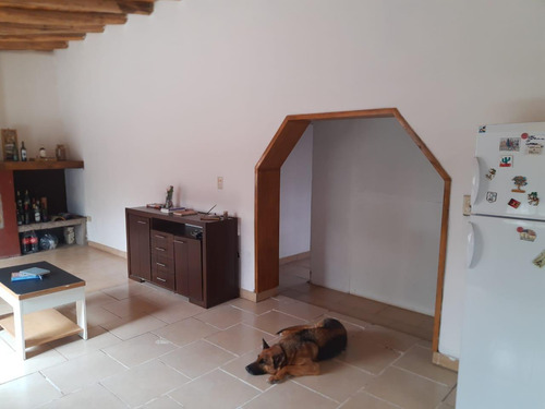 Finca, Bodega Artesanal Y Casa En San Rafael, Medoza.