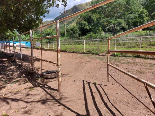 Imagen 22 de 29 de Finca Mixta + Manga De Coleo De 1 Ha En Guayabita En Turmero