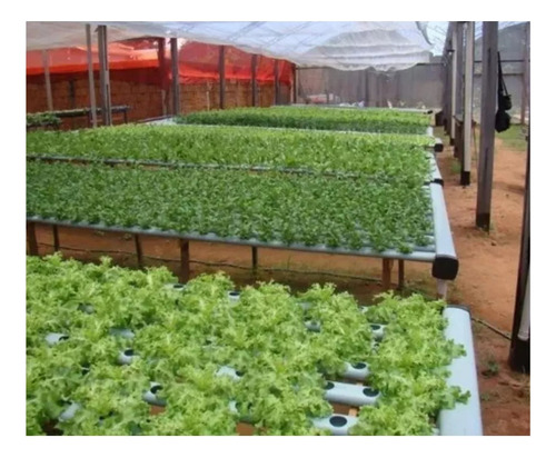 Projeto Completo 2025 Horta Orgânica E Hidropônica