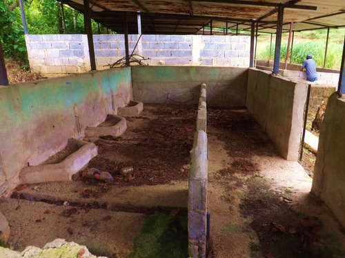 Dc224456 En Venta Hermosa Finca En Los Chaguaramos, Sabaneta Norte - Montalbán Carabobo
