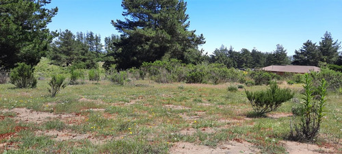 Paradisiaco Terreno En Pinares Norte De Algarrobo