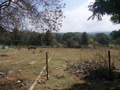 Imagen 1 de 11 de Terreno Urbano En Santa María Ahuacatitlán / Cuernavaca - Ber-183-tu