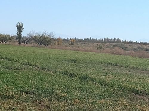 Vendo Finca Campo Potreros Pasturas Cañada Seca