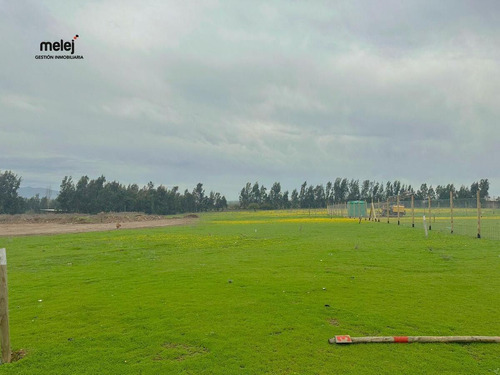 Venta Terrenos En Los Laureles, Limache