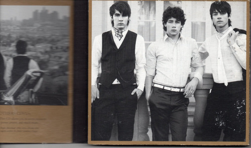 Jonas Brothers The Bonus Jonas Edition Cd Ricewithduck (Usado)