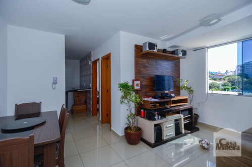 Imagem 5 de 15 de Apartamento À Venda No Castelo - Código 316041 - 316041