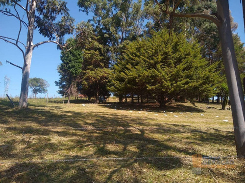 Imagem 8 de 17 de Chácara À Venda, 3090 M² Por R$ 250.000,00 - Vila Seca - Caxias Do Sul/rs - Ch0001