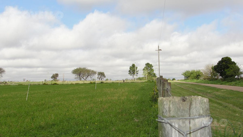 Terreno En Zona De San Pedro, Muy Buena Ubicación, Campo Productivo.