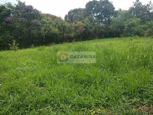 Imagem 2 de 14 de Otima Oportunidade De Chacara