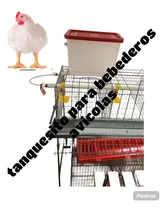Comprar Tanquesito Para Sistema De Bebederos Avícolas