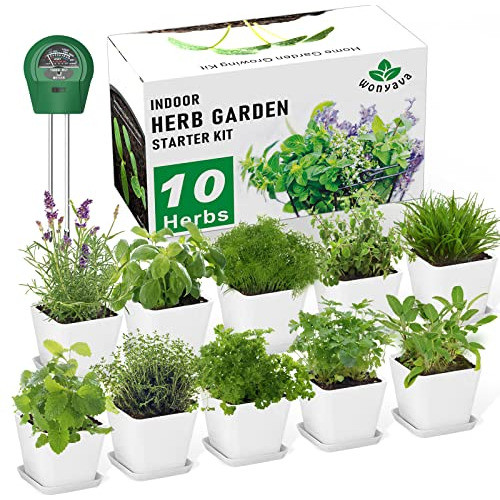 Herb Garden Kit Indoor Herb Starter Kit - 10 Variety He...