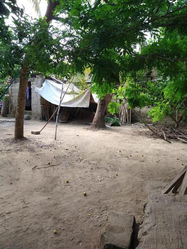 Venta Terreno 255 M² Col. Jose Lopez Portillo Alamo Veracruz