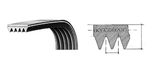 Correa Para Lavadora 1985 Ph - 8 Hilos - Hutchinson