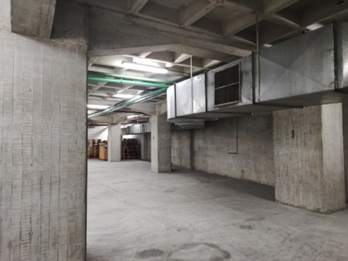 Imagen 3 de 13 de Alquilo Planta Industrial En Boleita Norte. 500 M2 7506