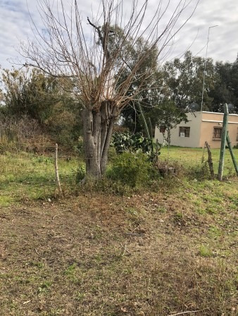 Imagen 5 de 6 de Lote De 20 X 28 Con Escritura En Lezica Y Torrezuri