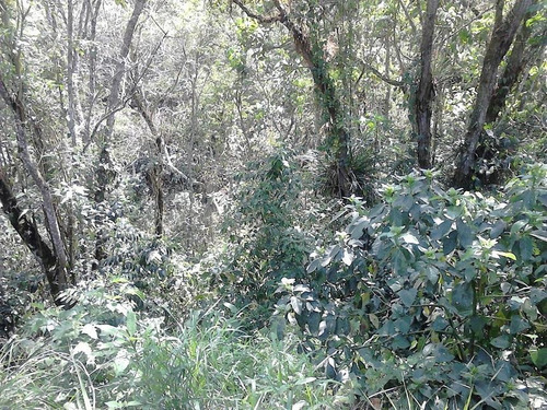 Imagem 10 de 20 de Terreno À Venda, 1000 M² Colinas, Px Ct São Paulo - Te0574